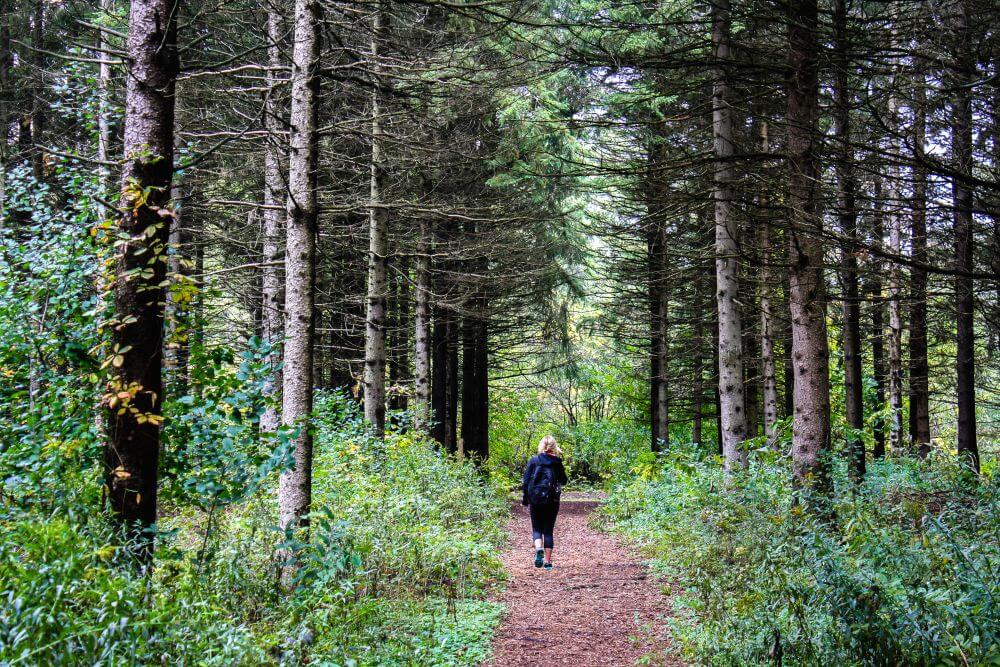 Wandelen in stilte