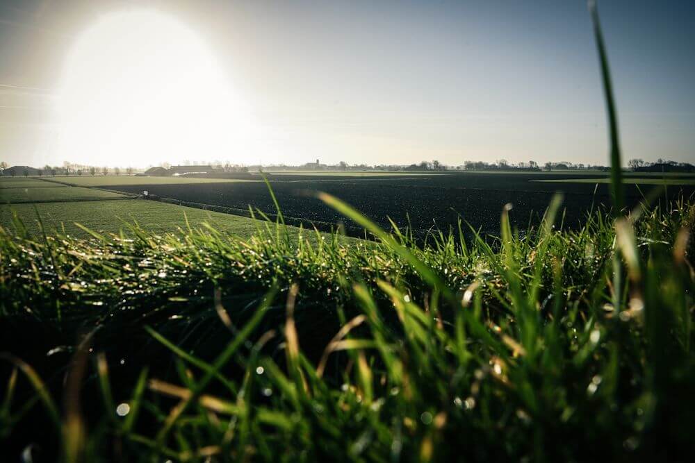 Nadenken over krimpende kerken