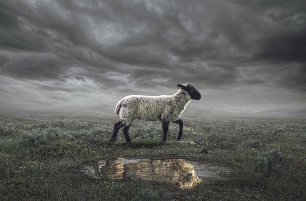 Getsemane: God in melt-down modus