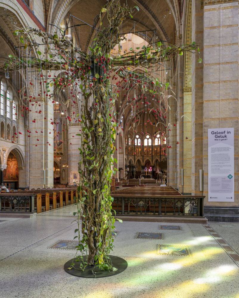 Op zoek naar geluk in een kathedraal en aan de keukentafel