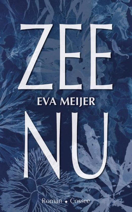 Als Nederland weggespoeld is
